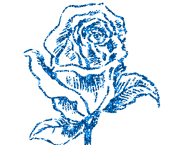 tu est ma rose