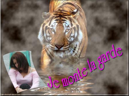 !!! avis au amateur !!!
